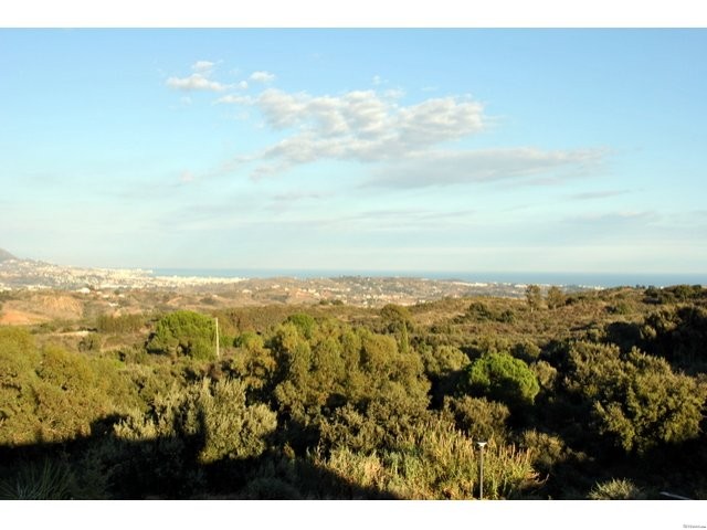El Soto Luxury Penthouse_MPC295 - 2