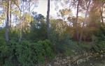 - Land - For Sale