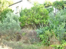 Property In Western Crete For Sale