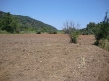 Agricultural Land For Sale In Crete - 2