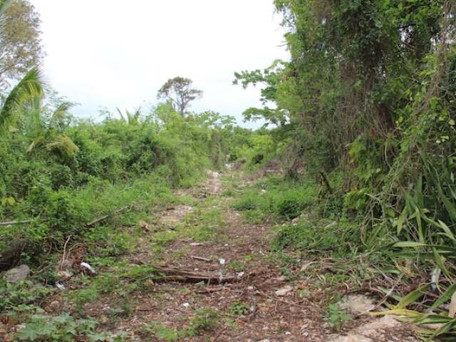 Singlefamilyvacant - Carmichael Road is..