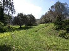 Big Land For Sale In Crete - 2