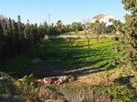 - Property - Malaga - For Sale - 2