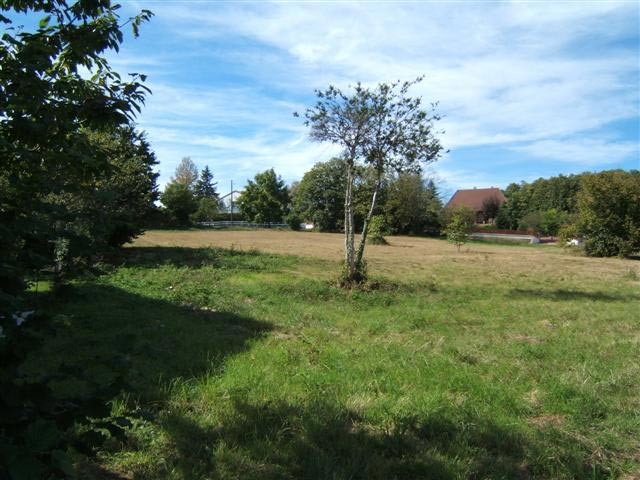 Building Plot In A Small Town At Green..