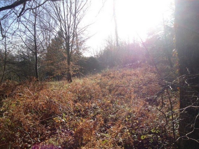 25291 - Vente - Terrain - Vergt - 2