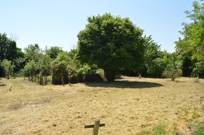 Amazing value for this 5-bed country.. - 2