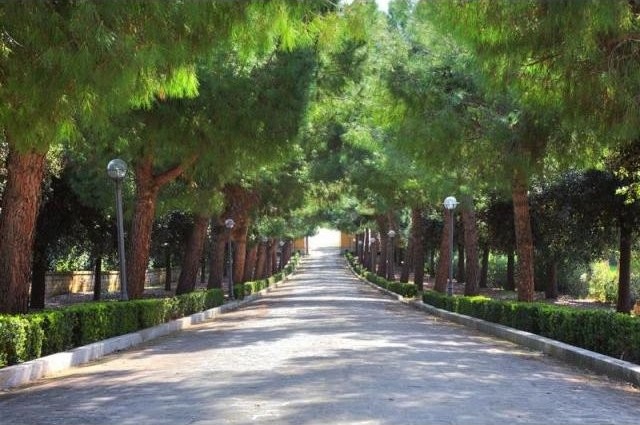 11 bedroom House For Sale: Marche.. - 2