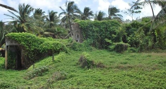 Property For Sale: Martins Bay Lot 4.. - 2