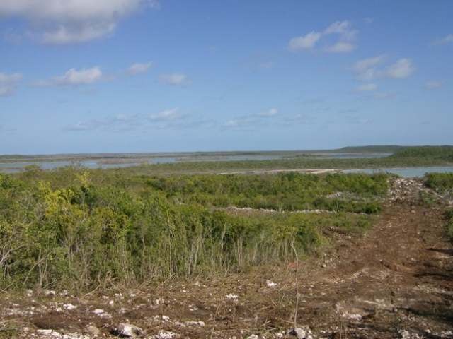 Singlefamilyvacant - This 4-acre lot..