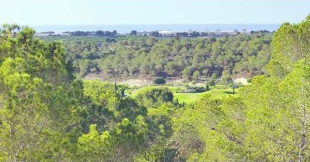 Plots for sale in Campoamor