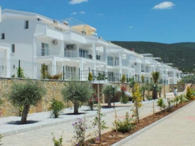 Beautiful Properties Designed For..