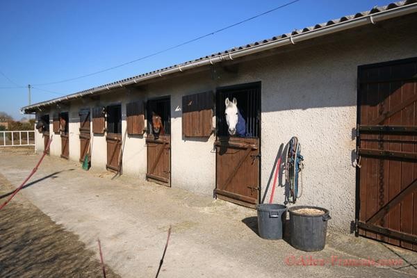 Sauze-Vaussais (79) - Equestrian..