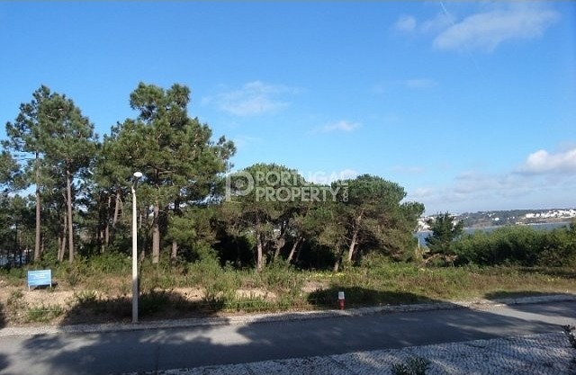Plot in Obidos Lagoon