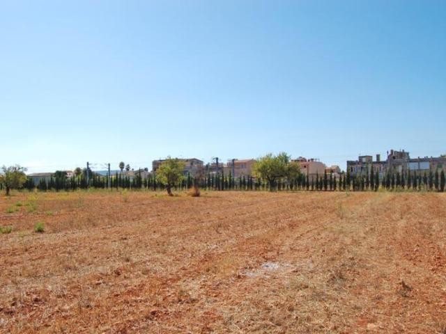 Huge flat plot inside the village of.. - 2