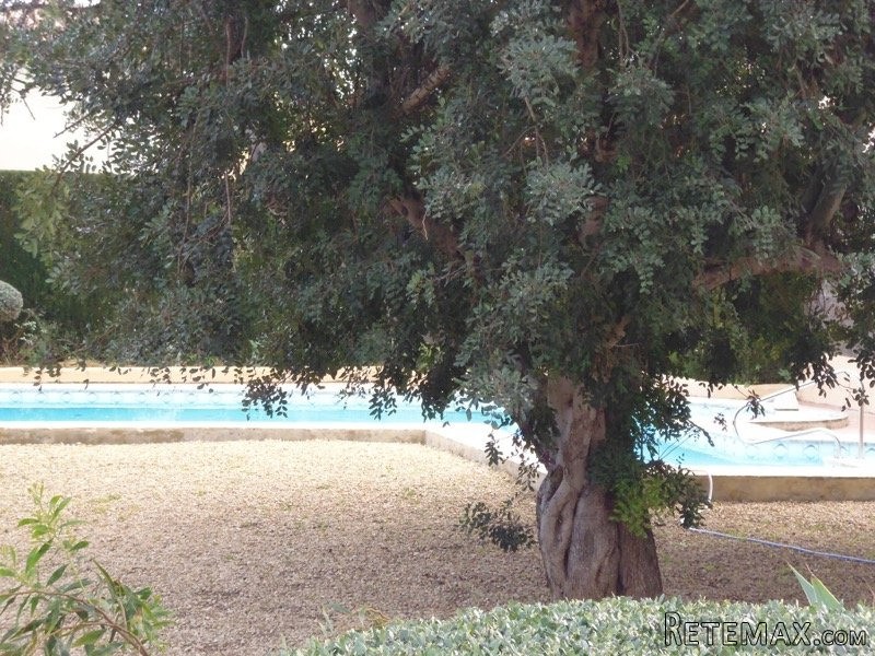 2 Bedrooms - Bungalow - Alicante - For.. - 2