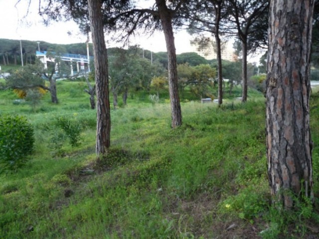 Building Plot for sale in Hacienda las..