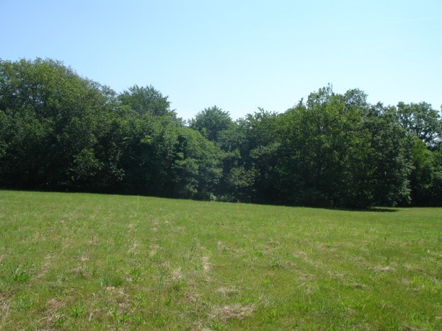 26222 - Vente - Terrain - Vergt - 2
