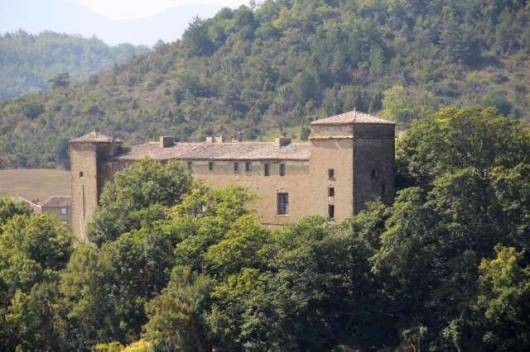 XVIIth C. Chateau To Renovate, 50+..