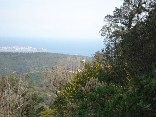 Building Plots Castell-Platja D'aro - 2