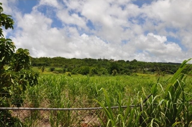 Property For Sale: Blowers Lot 30, St...