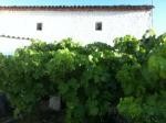 Village house, Jaen, Alcaudete, Casa..