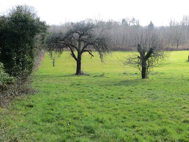 Building Land Of 2800 m2 In.. - 2