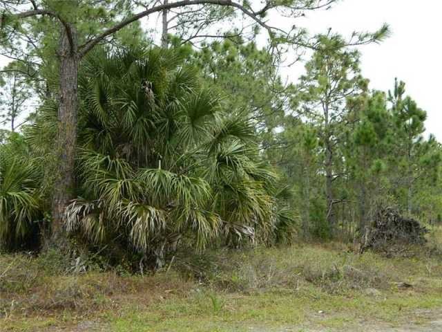 Land For Sale: 87TH ST - 2