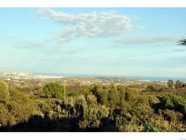 El Soto Luxury Penthouse_MPC295