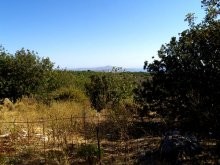 Plot For Sale In Crete - 2