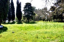 Land For Sale In Crete