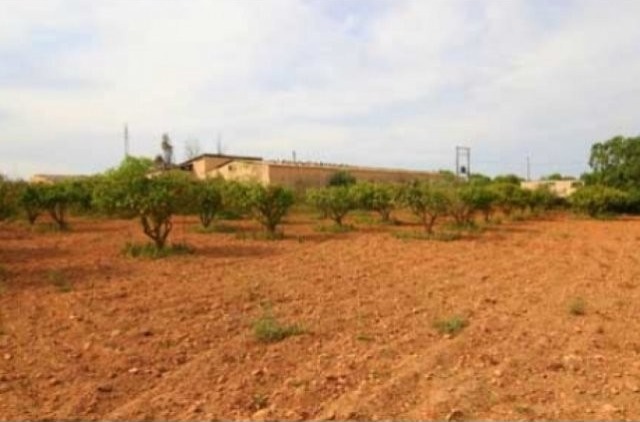 Finca In Need Of Renovation In Santa.. - 2