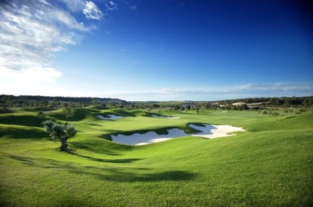 Plots for sale in Campoamor