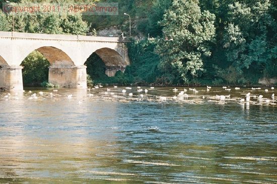 2 Bed House with Riverside Garden - 2