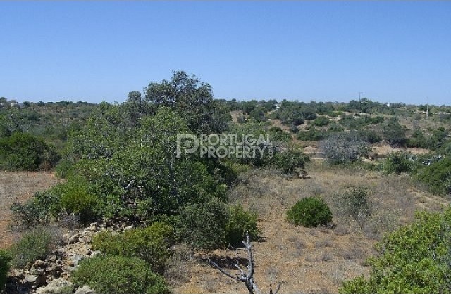 Great Plot of land - 2