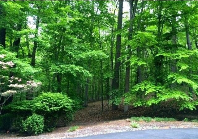 Land For Sale: 26 Arborview Way - 2