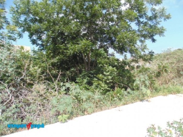 Residential Land in Pafos Centre, Pafos - 2