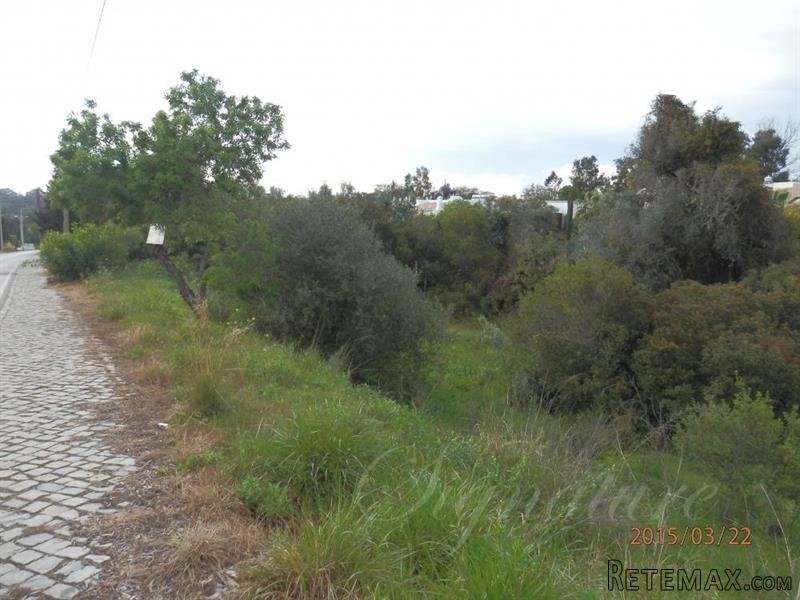 Plot For Sale: Carvoeiro, Lagoa.. - 2