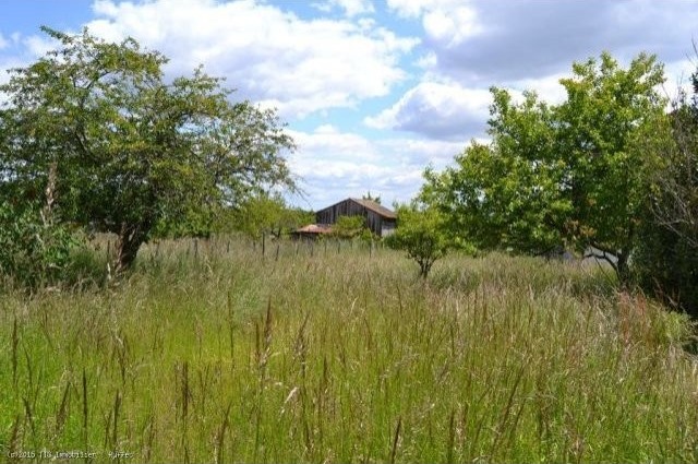 House To Renovate With Attached Barn.. - 2