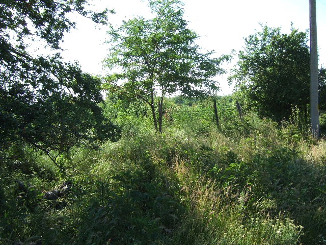 Land in Dobrava, Balchik - 2