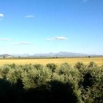Cortijo, Fuente De Piedra - 2