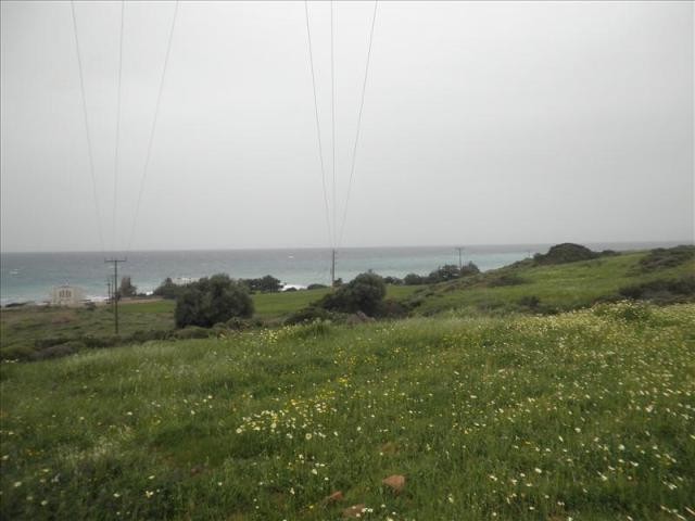 Β114 - Plot in Kiotari,Rhodes island - 2
