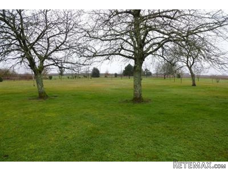 Property - Poitou-Charentes - For Sale - 2