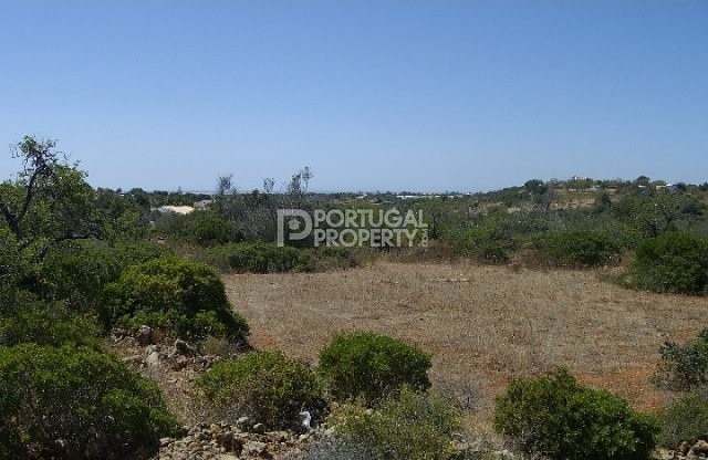Great Plot of land