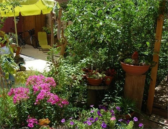 Tres Belle Maison De Ville Avec Jardin.. - 2
