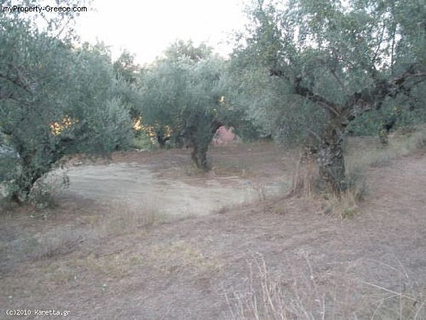 Land - Zakynthos - For Sale - 2
