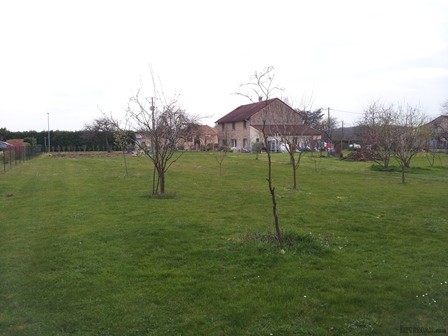 87 - Haute-Vienne - 2
