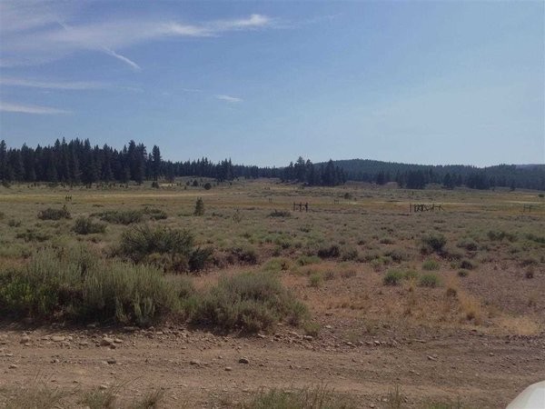 Land For Sale: Truckee, California - 2