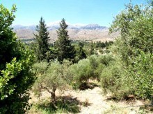Crete Land For Sale In Undisturbed..
