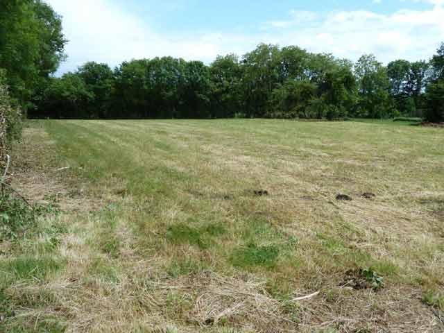 Charente: Building Plot Of 1.54 Ac With..