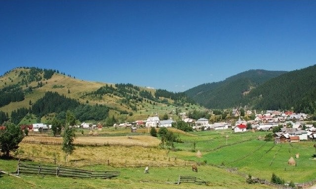 Land - Suceava - For Sale